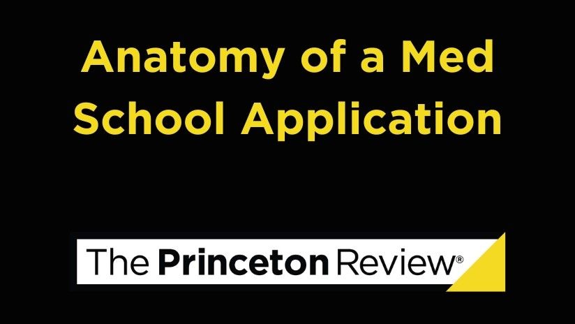 Anatomy Of Med School Application Slide